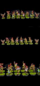 Wood Elf Blood Bowl Team – Athelorn Avengers by cool-minis.com