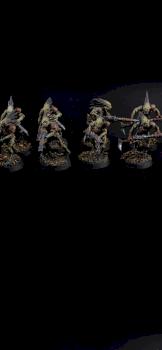 Kroot Carnivore Squad by cool-minis.com