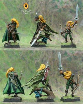 Wood Elves Lords by rohatakrysa