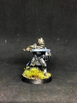 Ingold Warden of the Rammas Echor of Gondor Forge World PAINTED MIDDLE EARTH by juanlurockerman
