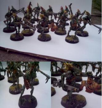 kroot squad by nooseman