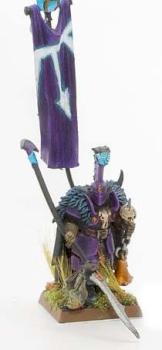 Banner bearer of Slaanesh by roder