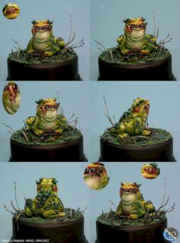 The charming toad by enlacasadedonpepito