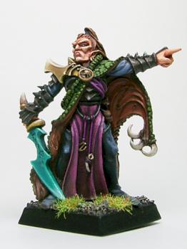 Dark elf corsair champion by myro