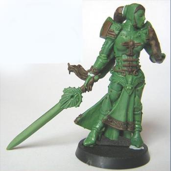 ciber paladin female capitain (better pics) by ergman