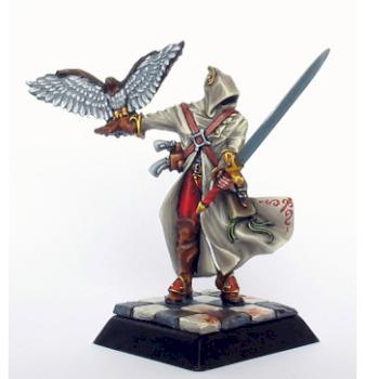 alahan falconeer by WiNd