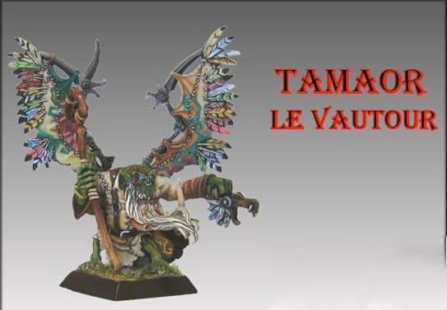 Tamaor le vautour (repost) by Barni