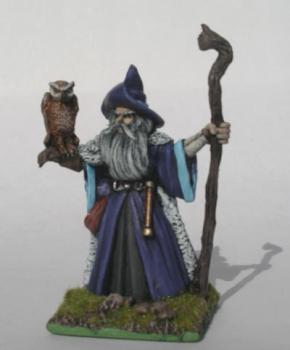 Wizard with staff and Owl familiar by JustinCoutange