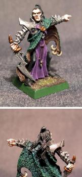Dark Elves Dark Elf Corsair by kc11