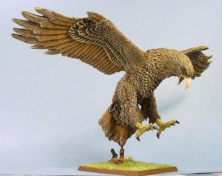 Giant Eagle by 101