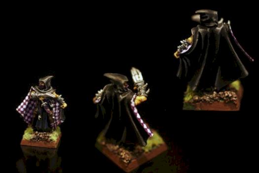 Dark Elves- Assassin by Maeve