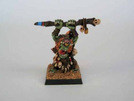Orks/Gobolins WHFB Shaman by kilgore19d