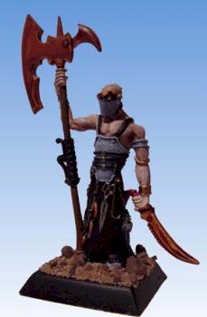 Confrontation - Hallebardier de Dirz by niko