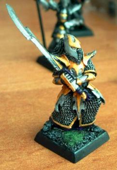 Dark Elves Executioner by roman