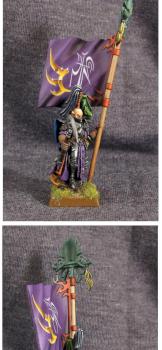 Dark Elf Standart Bearer by Diarsid