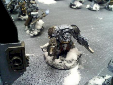 Another mini by cappadoscious