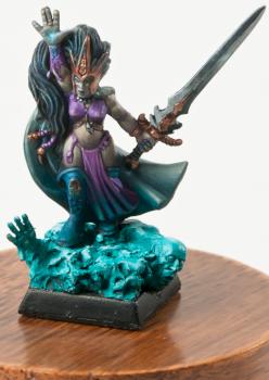 Dark Elve Sorceress by Wildjack