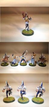 High Elf Blood Bowl Team by Marlio