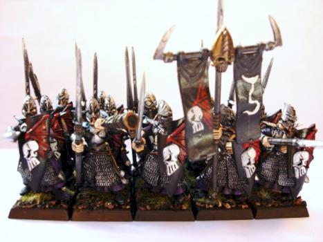 Régiment 15 guerriers elfes noirs / dark elf by Lamenoire