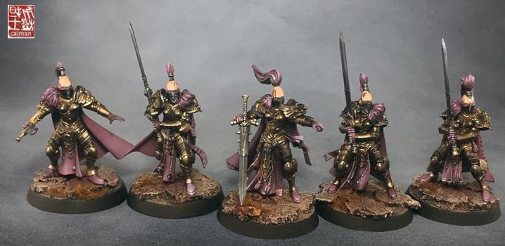 custodes by caiman
