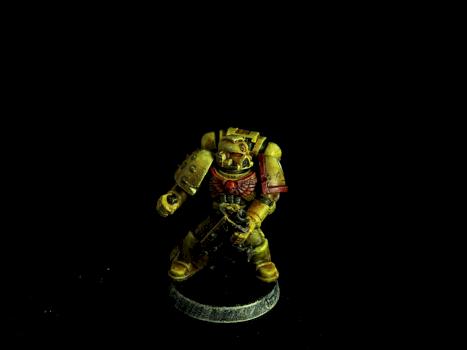 Imperial fist space marine by regis