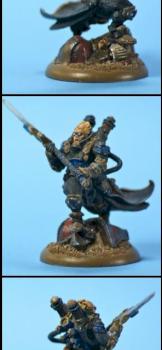 eStryker by transler