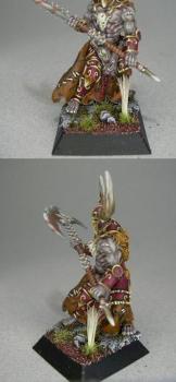 drune wandyr le sanguinaire by Lore Nicolas