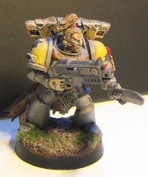 Grey Hunter by MSHaahr