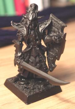 Converted Dark Elf Noble by roman