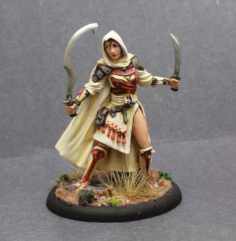 Dark Sword Female Desert Blades Warrior by superbug983