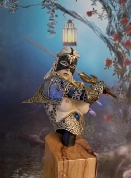 Warrior Women by Sgt. Rock