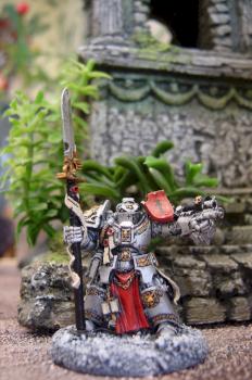 Chevalier Gris 1 by Tassilius