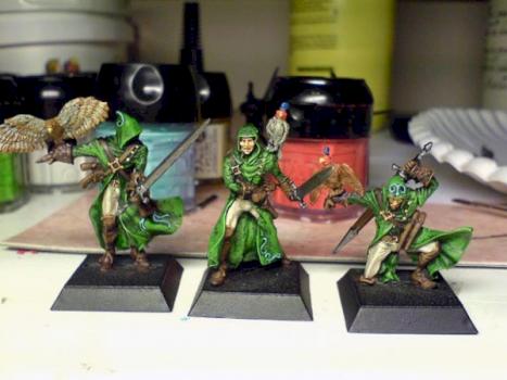 Falconers of Alahan by mynock