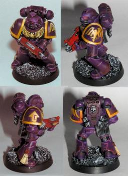 Hawk Lord by Kendert