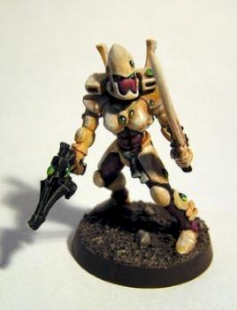 Eldar - Stormguardian by Freg from FeuWeuh