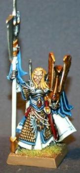 Caradryan, Captain of the Phoenix Guard by scarecrow4560