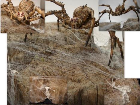 Monstrous Spider by cpstrattton67