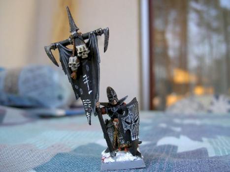 Converted dark elf standard bearer by Titoeuf