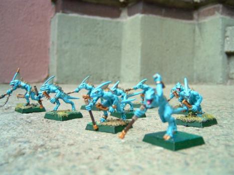 My first Skinks by megakronkel
