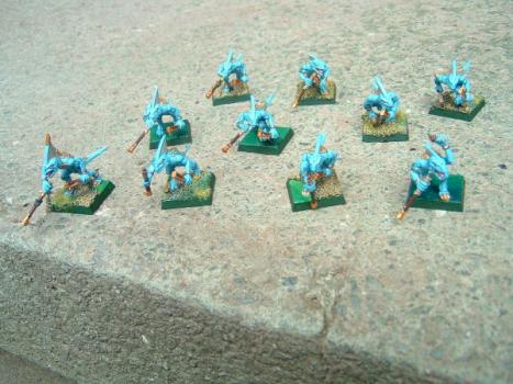 Skinks by megakronkel