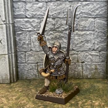 Bretonnia sergeant-at-arms by Tortus22