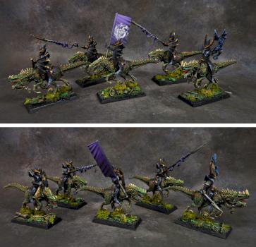 Warhammer Dark Elves Cold One Knights by Awaken Realms by Maranith
