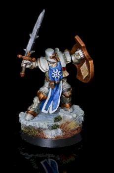 Crusader Champion by ShattuckEW