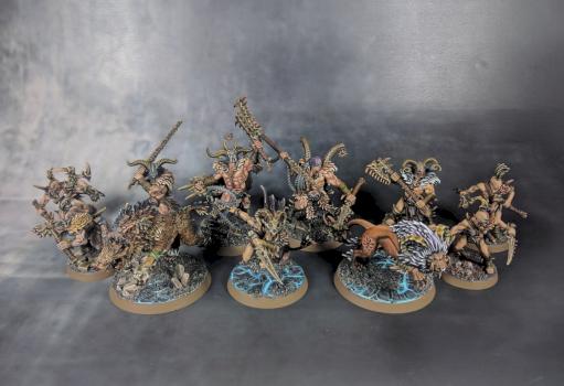 Untamed Beasts Warcry Warband by Mortighaar