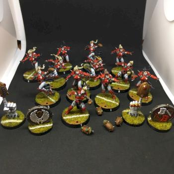 THE ELFHEIM AEGLES ELVEN UNION TEAM BLOOD BOWL by juanlurockerman