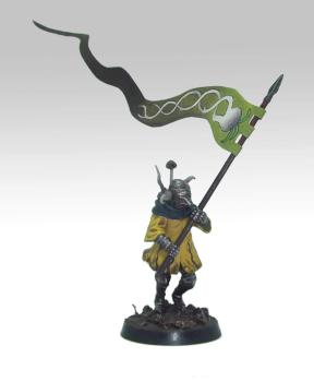 Grimdrakes standard bearer by Haemogoblin