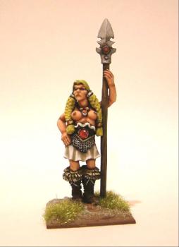 Female Viking Warrior by Tidyfiguremaker