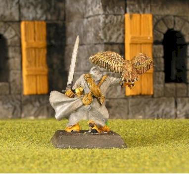 falconer  rear view by Voltbang