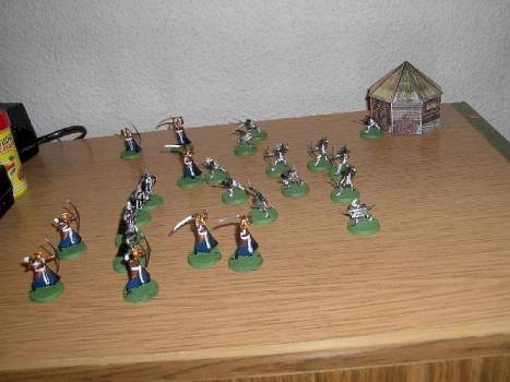My own Battle for house with goblins ,elf and gondor men by polos