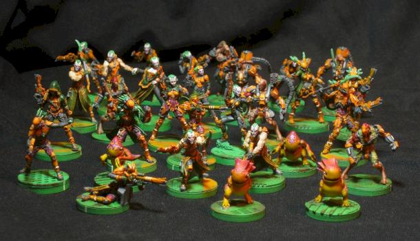 Tohaa 'Golden Wasps' Army by Vinni Pooh